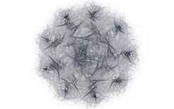 2014 12 15 Shadow Play 041-white.jpg